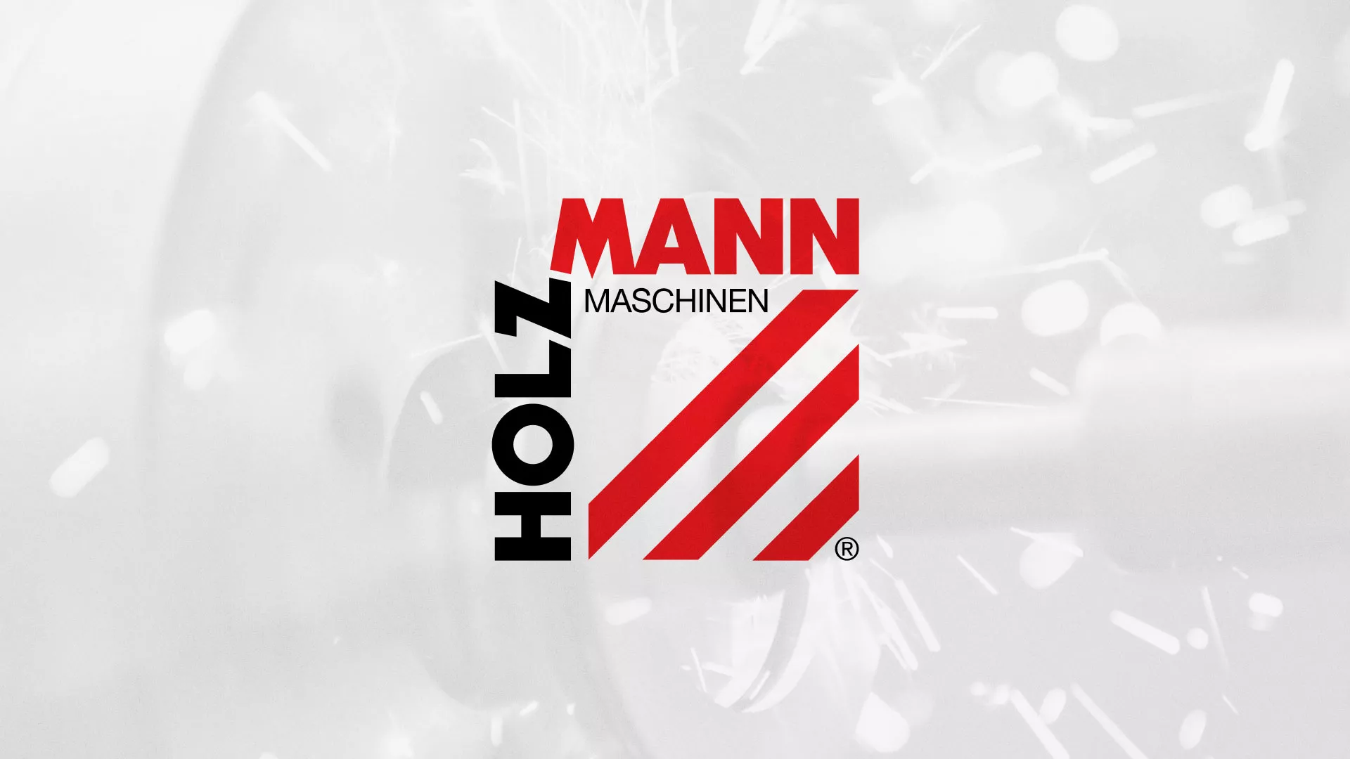 Создание сайта компании «HOLZMANN Maschinen GmbH» в Пскове